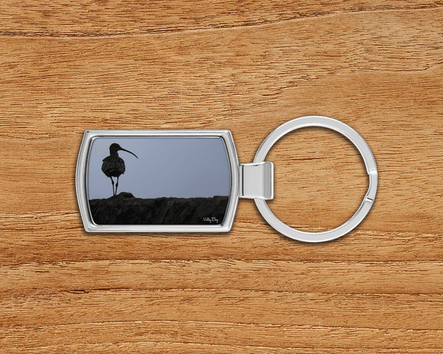 &quot;Curlew&quot; Keyring  