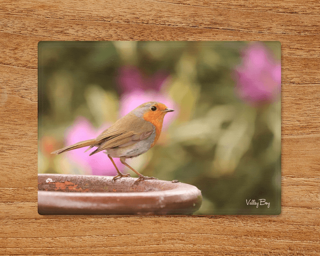 &quot;Robby Robin&quot; Glass Worktop Saver  