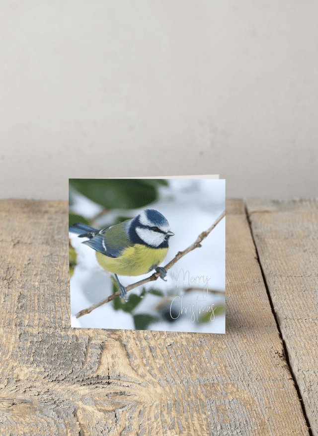 &quot;Beatrice Blue tit in the Snow” Christmas Card 