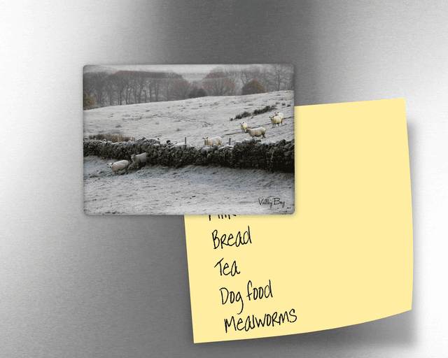 &quot;The Great Escape&quot; Fridge Magnet  
