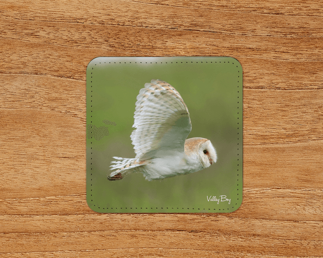 “Barn Owl” Coaster