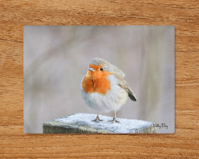 &quot;Frosty Toes&quot; Glass Worktop Saver  
