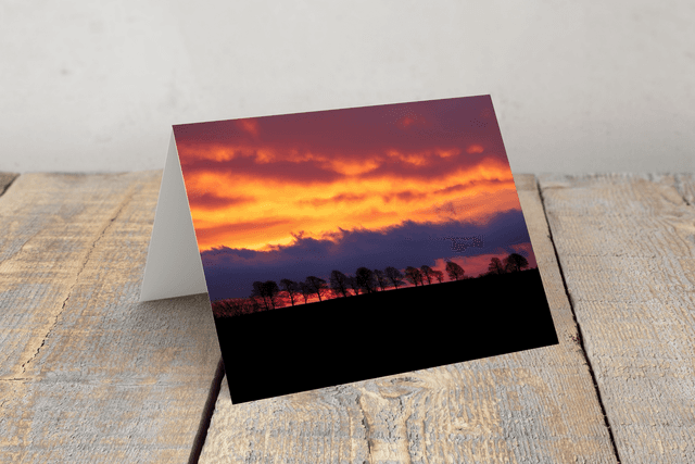&quot;Treeline at Sunrise&quot; Greeting Card     