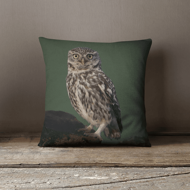 “Little Owl” Cushion 