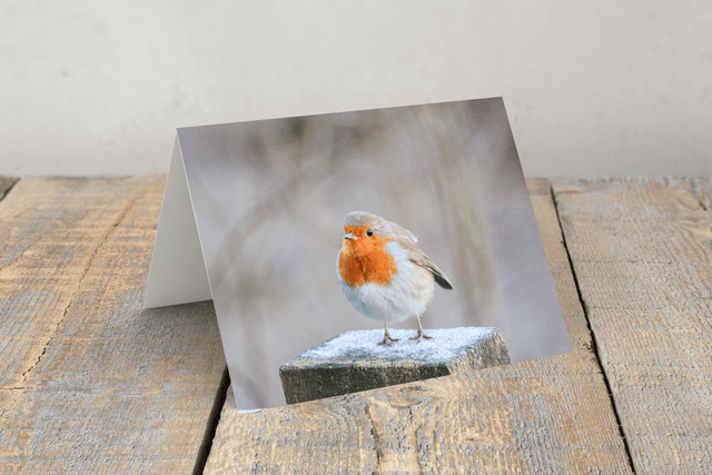 &quot;Frosty Toes&quot; Greeting Card 
