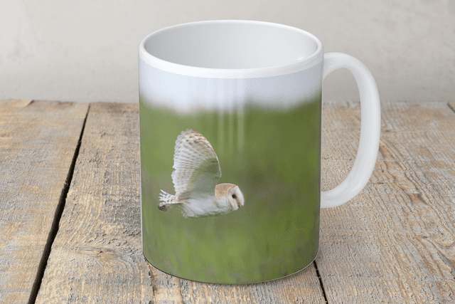 “Barn Owl in Flight” Mug 