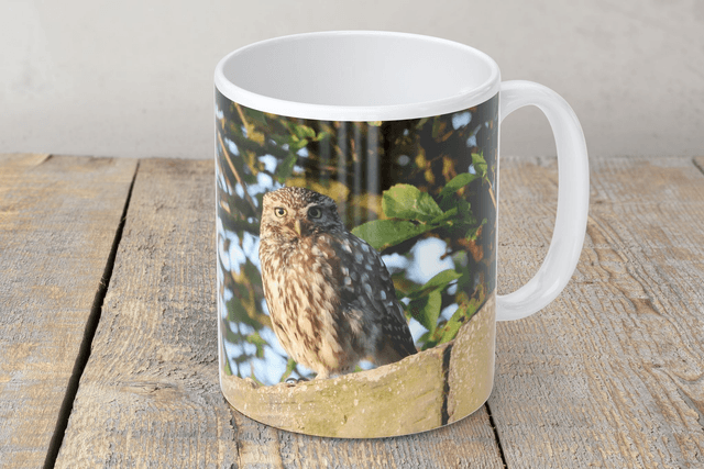 “Little Owl” Mug