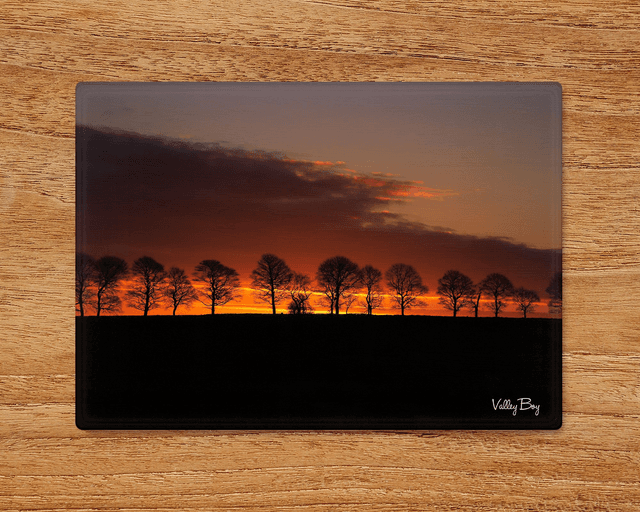 &quot;Treeline Sunrise&quot; Glass Worktop Saver
