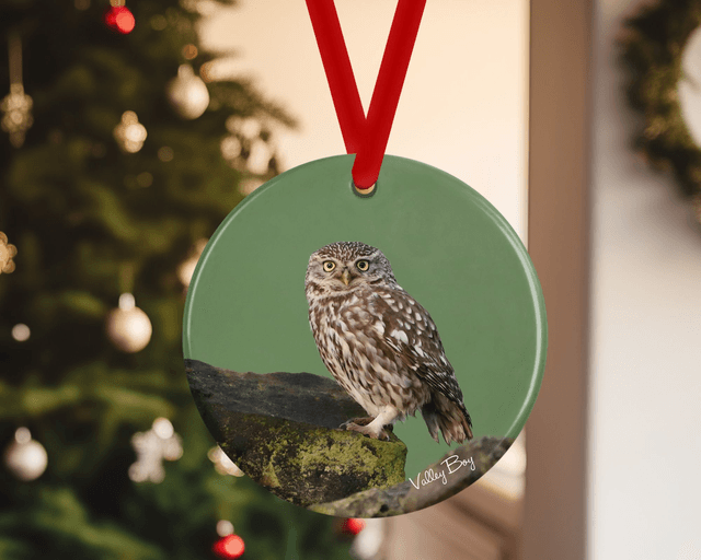 &quot;Little Owl&quot; Ceramic Christmas Decoration      