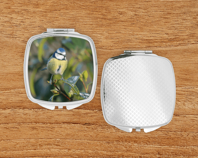 &quot;Beautiful Blue tit&quot; Compact Mirror  
