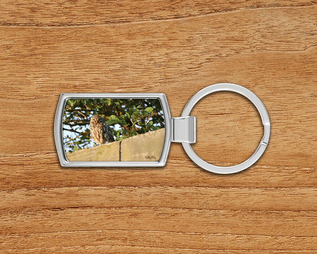 &quot;Little Owl&quot; Keyring  