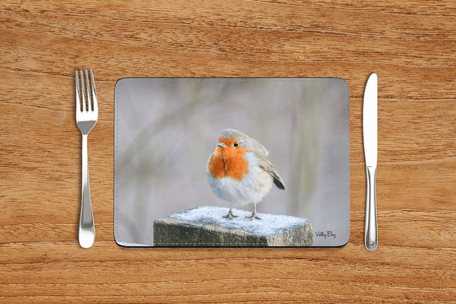 “Frosty Toes” Placemat 