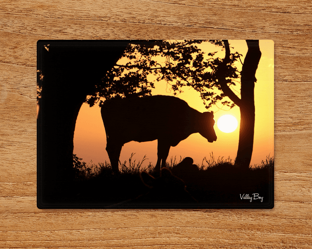 &quot;Moovelous&quot; Glass Worktop Saver  