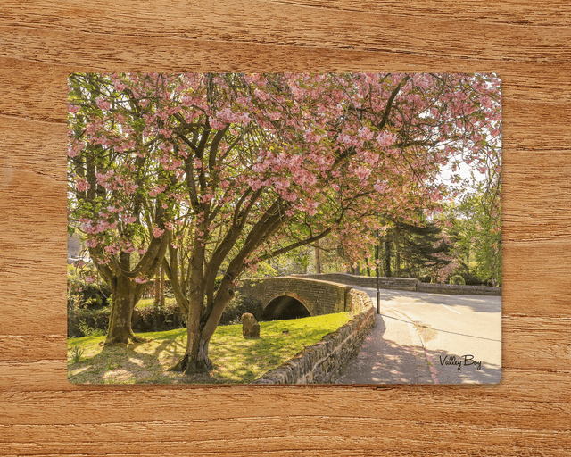 &quot;Blossom in the Village of Low Bradfield&quot; Glass Worktop Saver  