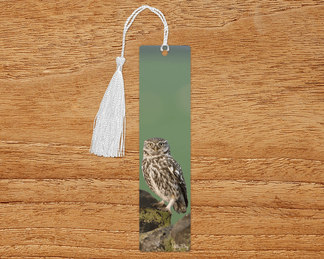 &quot;Little Owl&quot; Bookmark 