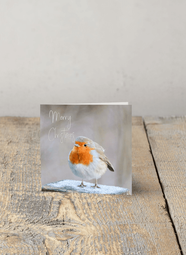 &quot;Frosty Toes&quot; Christmas Card 