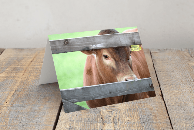 &quot;Peeka Moo&quot; Greeting Card