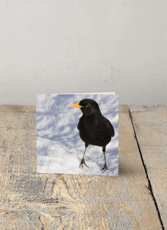 &quot;Billy Blackbird in the Snow&quot; Christmas Card 