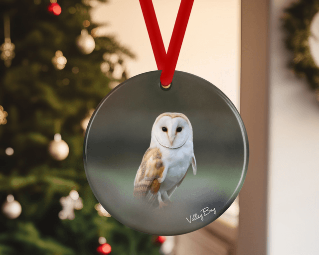 &quot;Barn Owl&quot; Ceramic Christmas Decoration     