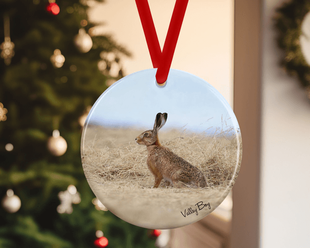 &quot;Henry Hare&quot; Ceramic Christmas Decoration   