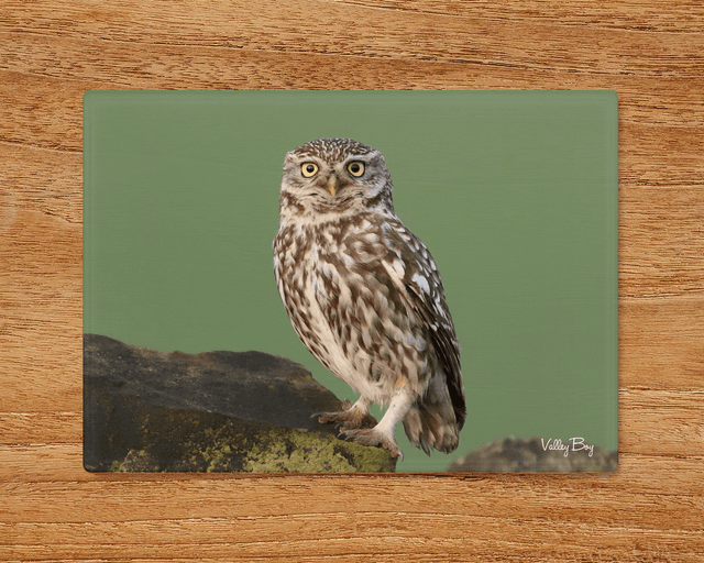 &quot;Little Owl&quot; Glass Worktop Saver  