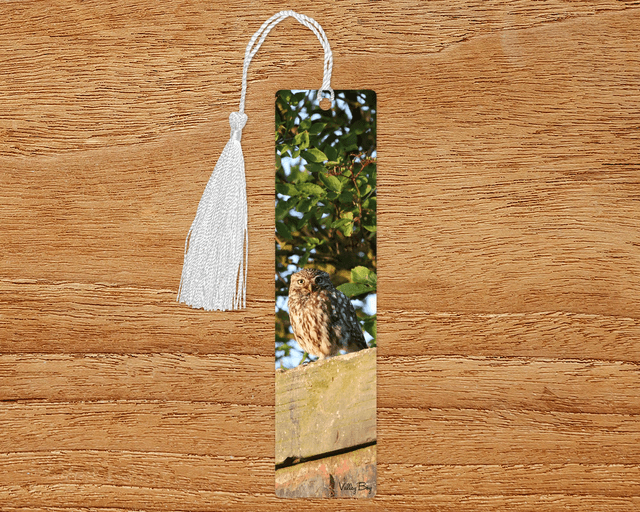&quot;Little Hootie&quot; Bookmark 