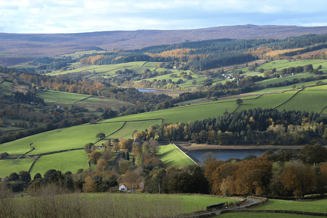 &quot;Bradfield Landscape&quot; Print   