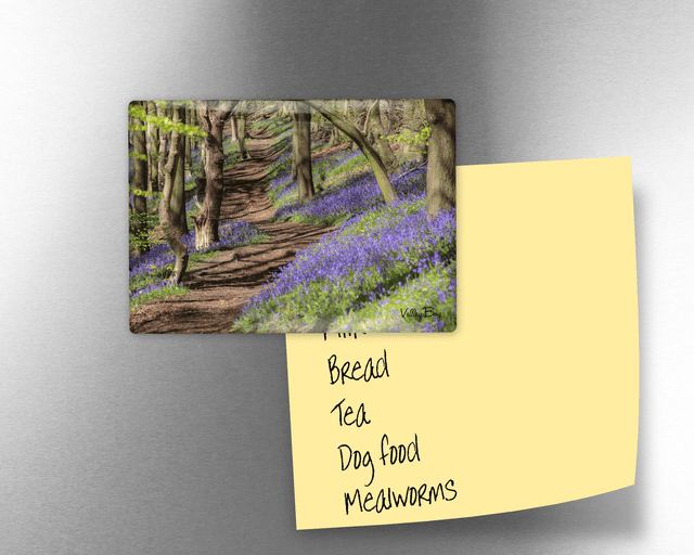 &quot;Bluebell Woodland&quot; Fridge Magnet  
