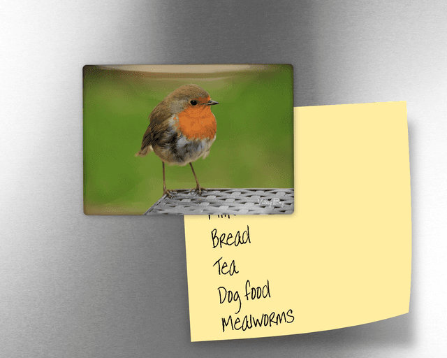 &quot;Robin&quot; Fridge Magnet  