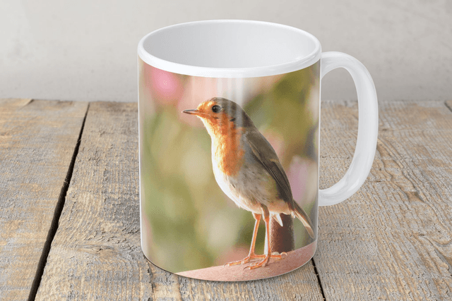 “Robby Robin” Mug 