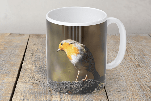“Stunning Robin” Mug 
