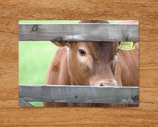&quot;Peeka Moo&quot; Glass Worktop Saver  