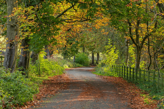 &quot;Autumn in the Ewden Valley&quot; Print   