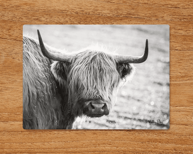 &quot;Highland Cow&quot; Glass Worktop Saver  