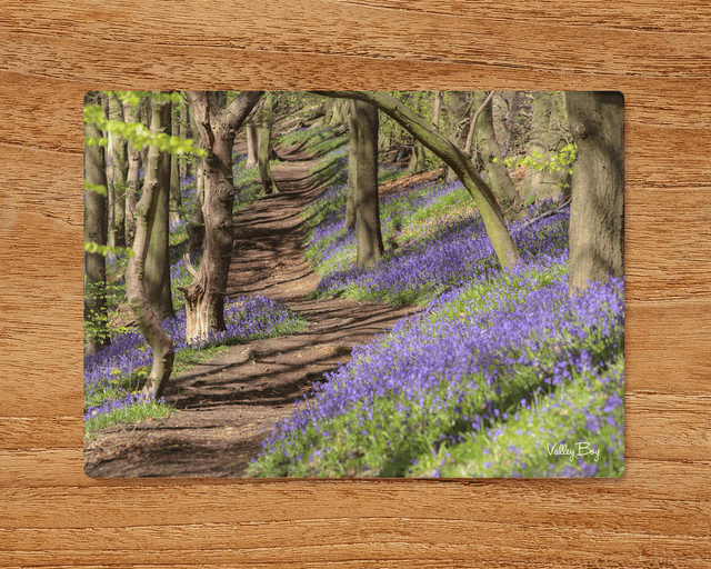 &quot;Bluebell Woodland&quot; Glass Worktop Saver  
