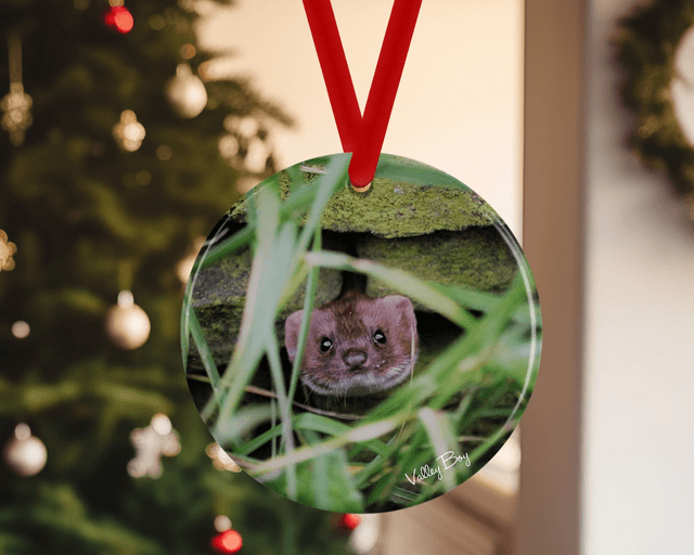 &quot;Pop Goes the Weasel&quot; Ceramic Christmas Decoration 