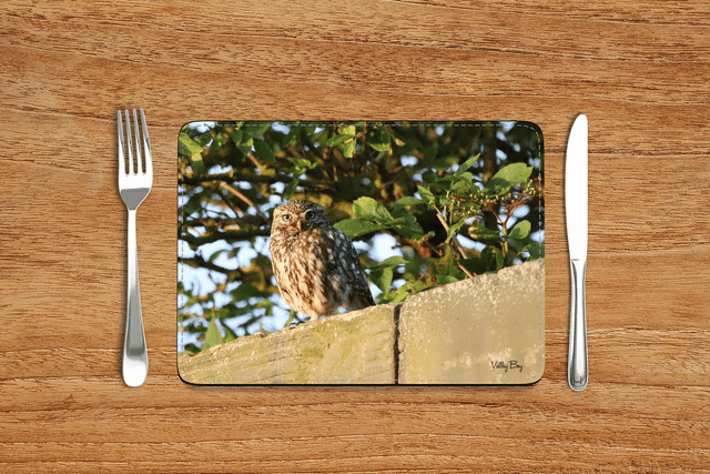 “Little Owl” Placemat