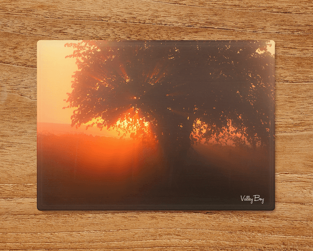 &quot;Tree of Light&quot; Glass Worktop Saver  