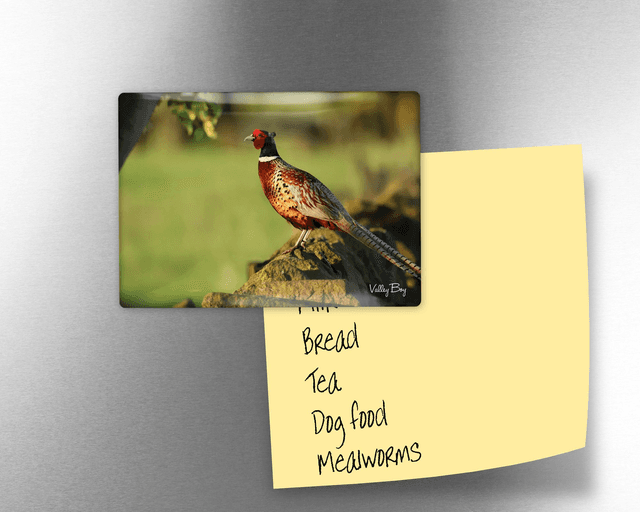 &quot;Rufus&quot; Fridge Magnet  