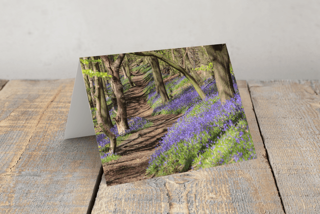 &quot;Bluebell Woodland&quot; Greeting Card     