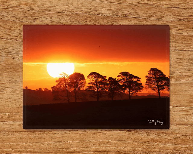 &quot;Lion King Sunrise&quot; Glass Worktop Saver  