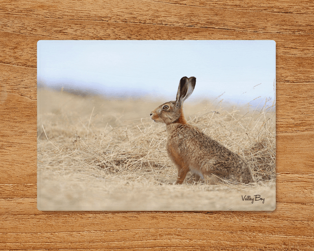 &quot;Henry Hare&quot; Glass Worktop Saver 
