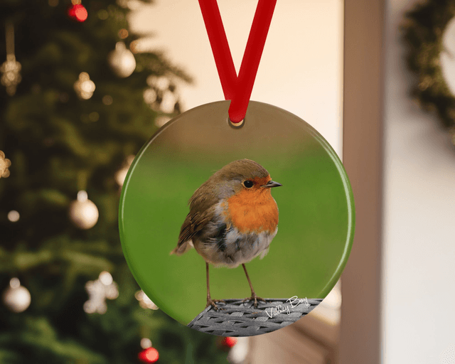 &quot;Robby Robin&quot; Ceramic Christmas Decoration   