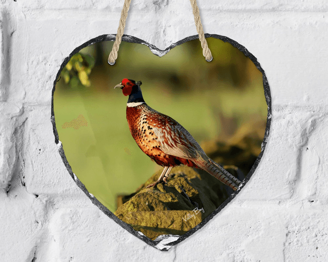 “Rufus Pheasant” Heart Slate   