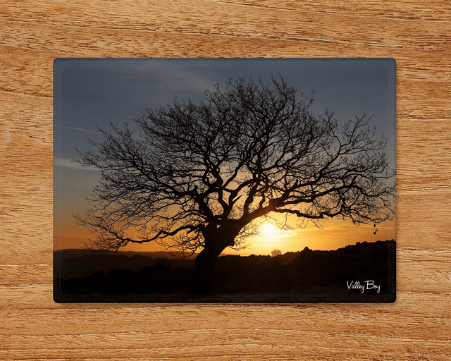 &quot;Tree at Sunrise&quot; Glass Worktop Saver 