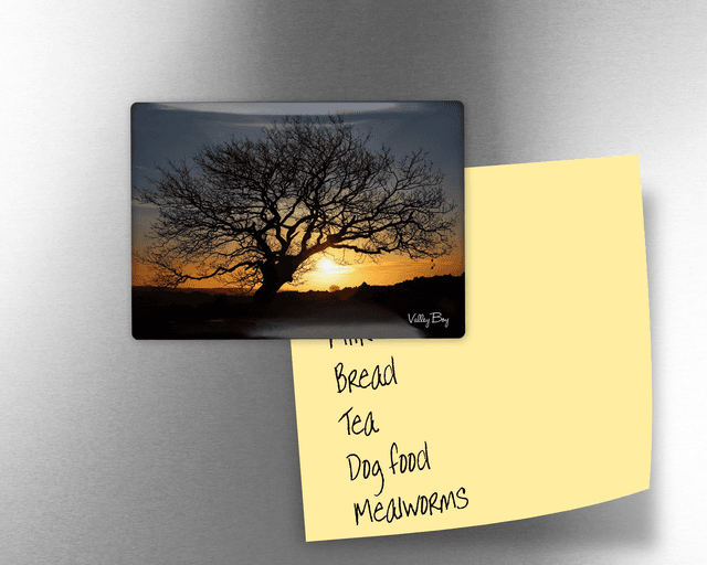 &quot;Tree at Sunrise on Whitwell Moor&quot; Fridge Magnet  